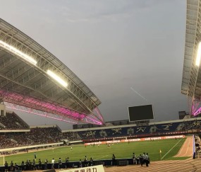 九游- 伐清灰熊猫笔趣阁 