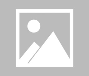 J9-詹姆斯回归赛场，比分优势明显首场状态亮眼，雄鹿观众沸腾！的简单介绍