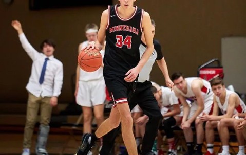 九游会- 浓眉哥水平怎么样 