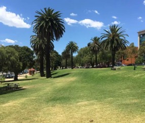 九游- 澳大利亚选手 