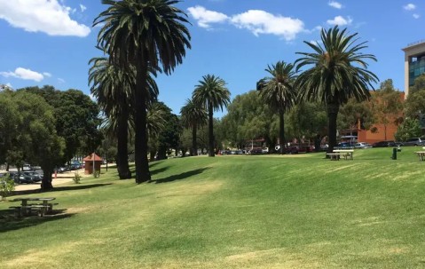 九游- 澳大利亚选手 